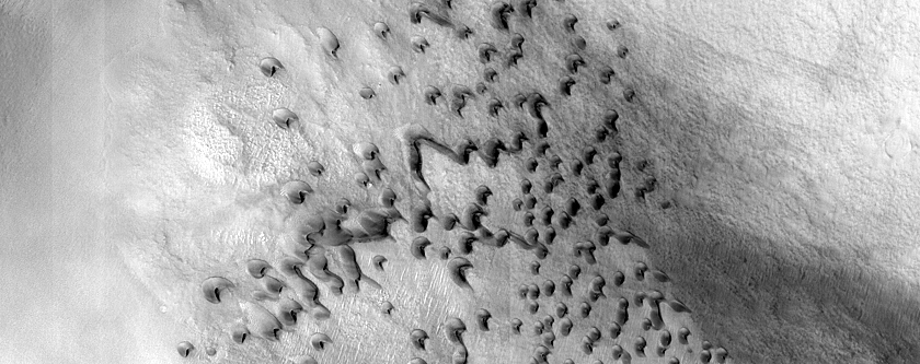 Dune Monitoring in Lyot Crater