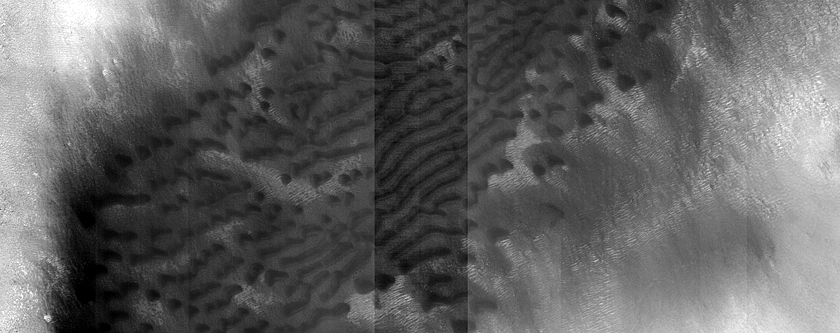 Dune Monitoring