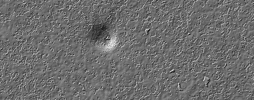 South Polar Monitoring