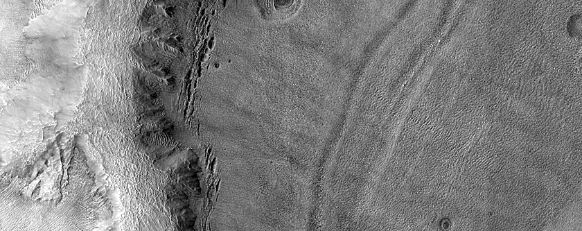 Crater with Hydration Signatures in West Hellas Planitia