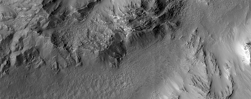 Southeast Rim of Hale Crater