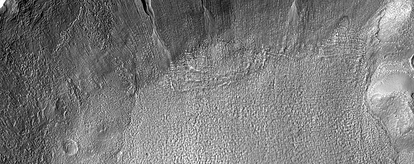 Gully Monitoring