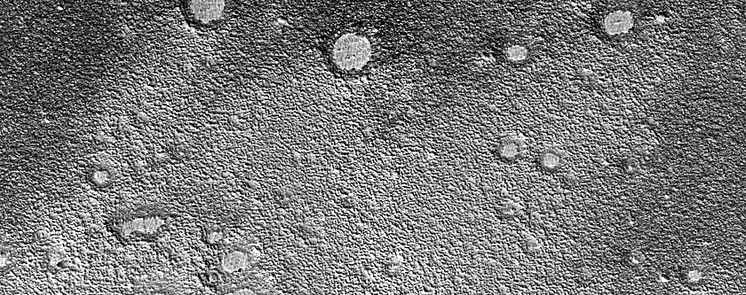 Inverted Craters in Arcadia Planitia