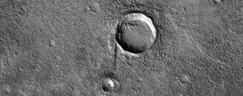 Ridged Terrain