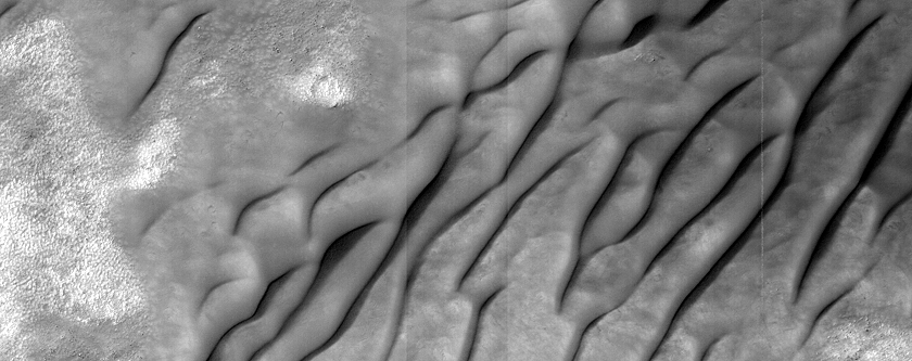 USGS Dune Database Entry Number 1175-665