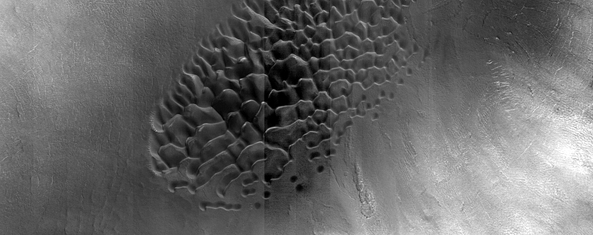 Dune Monitoring