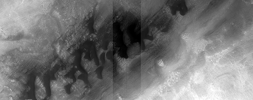 Dune Monitoring