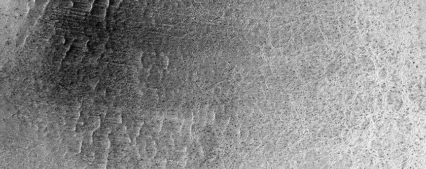 Distorted Polar Crust