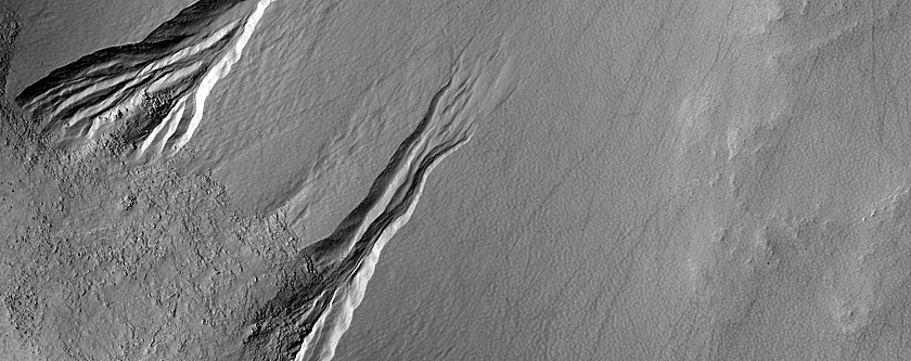 Gully Monitoring