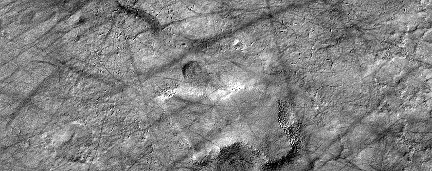 Dust Devil Track Monitoring