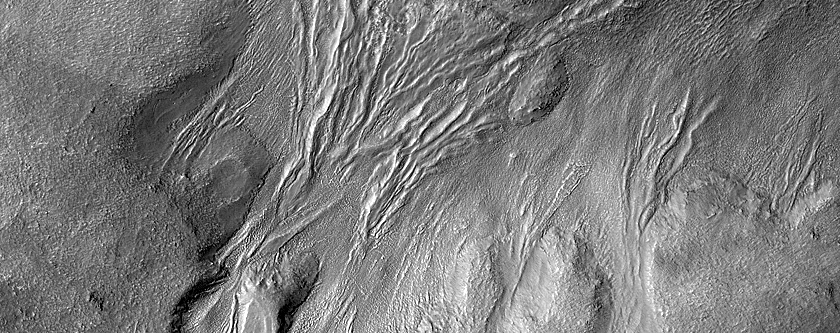 Gully Monitoring