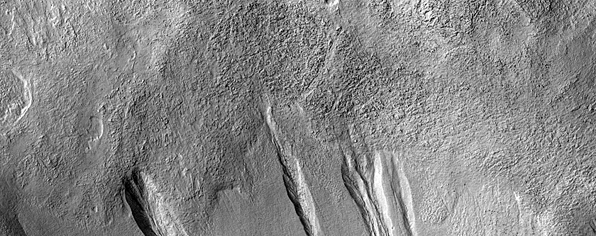 Gullied Slope