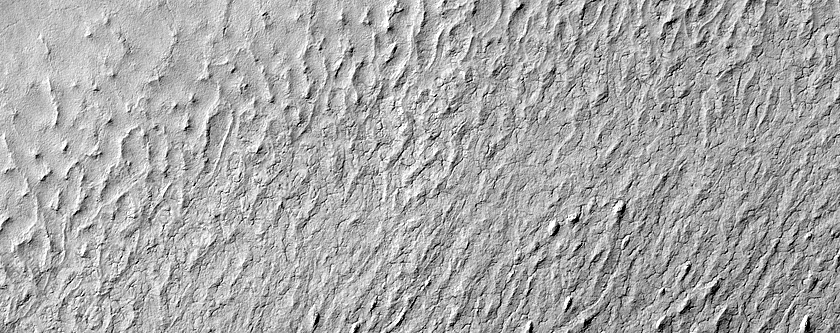 Edge of Dune Field