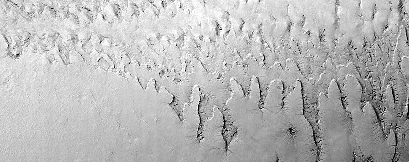 Polar Scarp