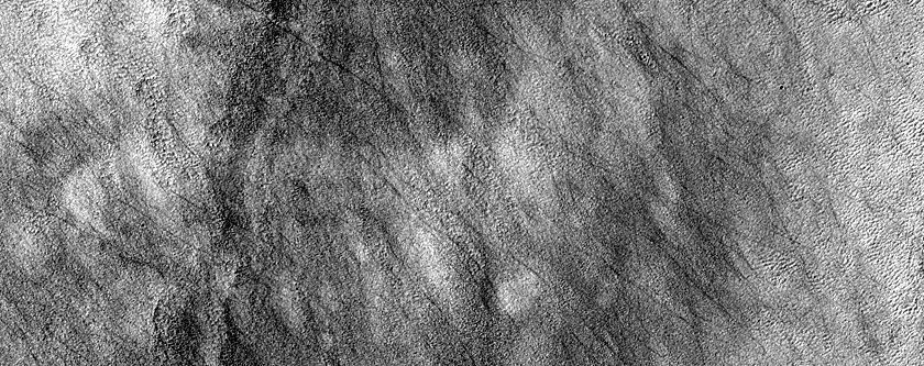Terrain Sample