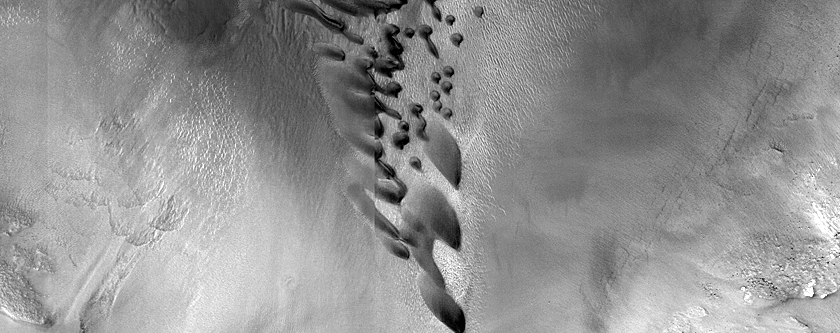 Dune Monitoring in Lyot Crater