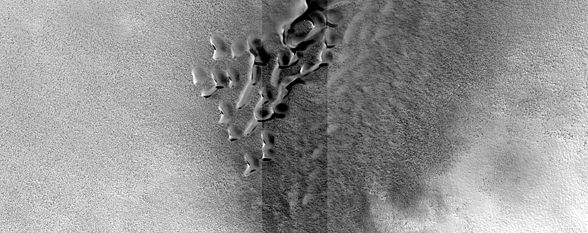 Dune Monitoring in Crater