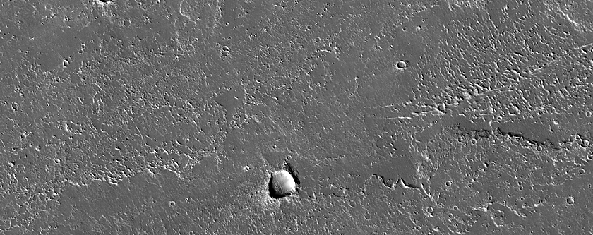 Olympus Rupes