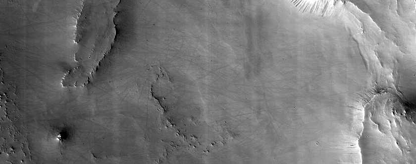 Terrain Sample