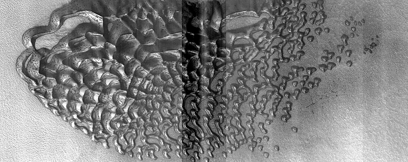 Dune Monitoring in Crater