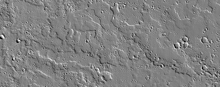Terrain Sample
