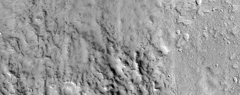 Sample of Terrain near Phlegra Montes