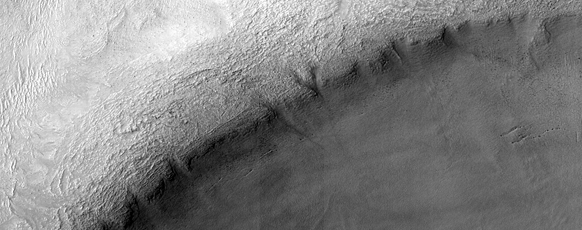 Terrain Sample