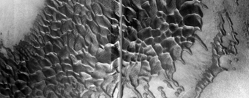 Dune Monitoring in Crater