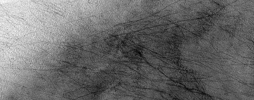 Terrain Sample