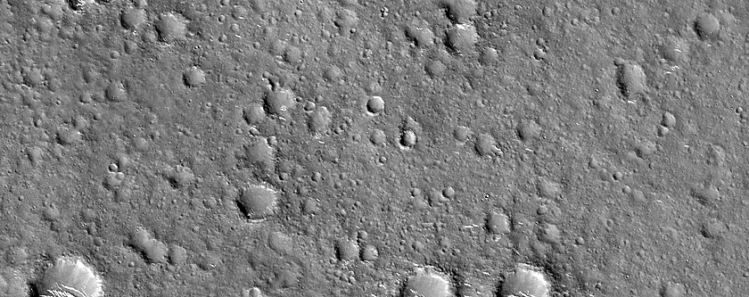 Nepenthes Planum