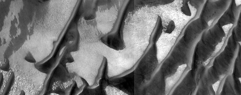 USGS Dune Database Entry Number 0104-584