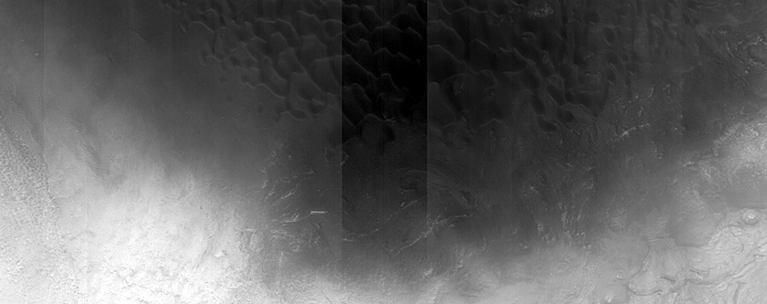 Dune Monitoring in Crater