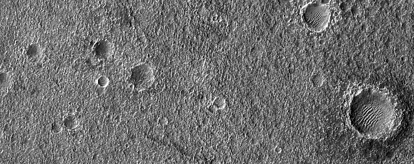 Unit Contact with Lobate Margin