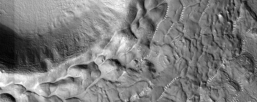 Terrain Sample