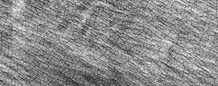 South Polar Perennial Ice Outlier Monitoring