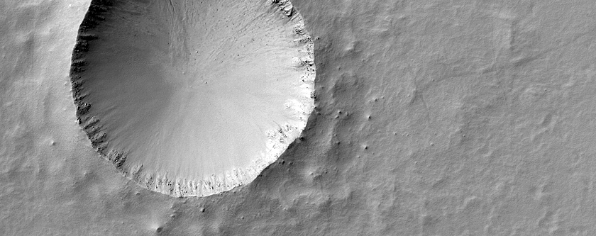 Terrain Sample