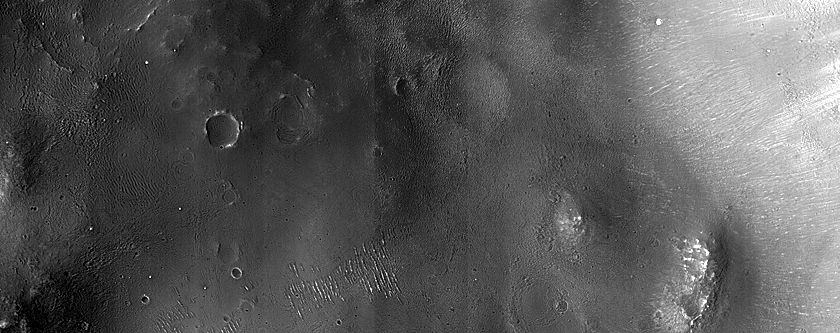 Terrain Sample