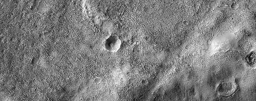 Terrain Sample