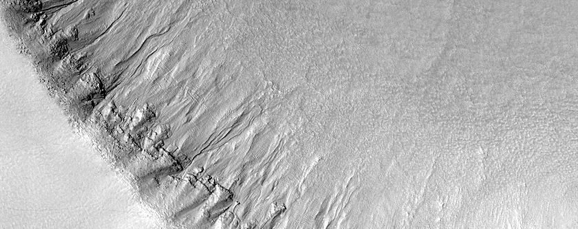 Equator-Facing Gullies at Upper Mid-Latitudes