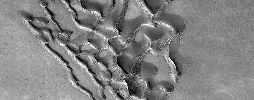 Dune Monitoring in Crater