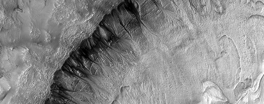 Dense East Facing Gullies