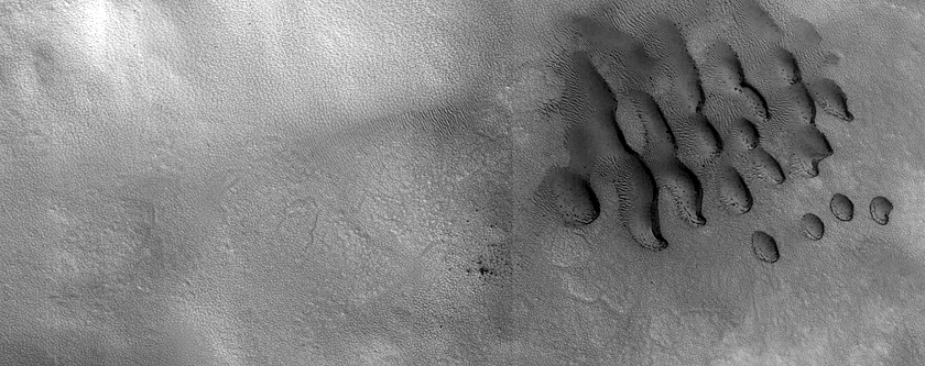Dune Monitoring in Crater