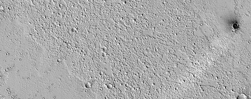 Terrain Sample