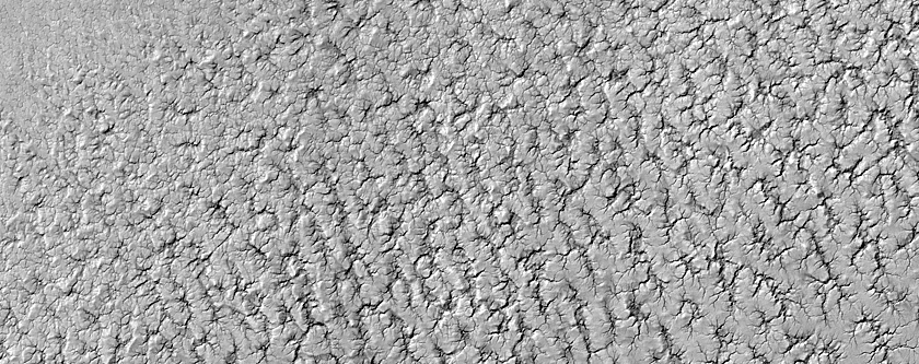 Possible Exposure of South Polar Layered Deposits