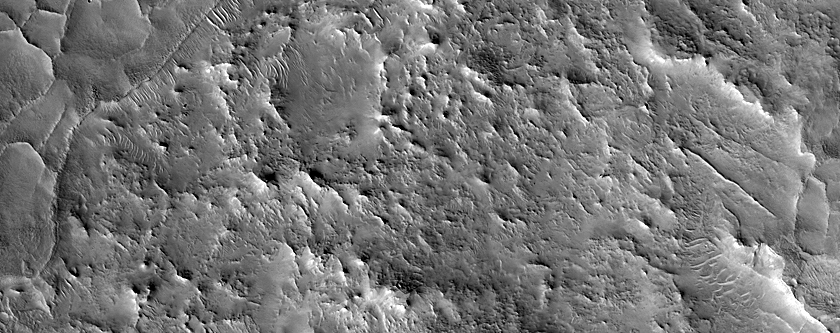 Ridge Network in Northern Mid-Latitudes