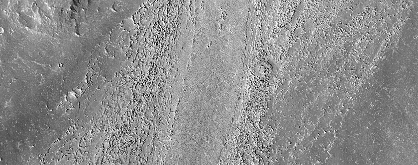 Athabasca Valles Distributary