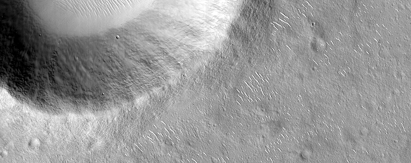 Terrain Sample