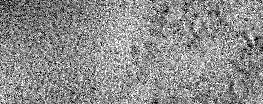 Seasonal Monitoring South of Pityusa Patera