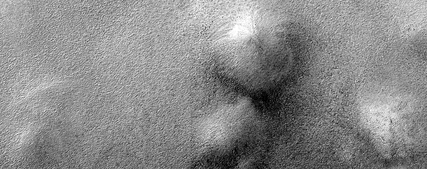 Gullies in High Latitude Crater with Dunefield