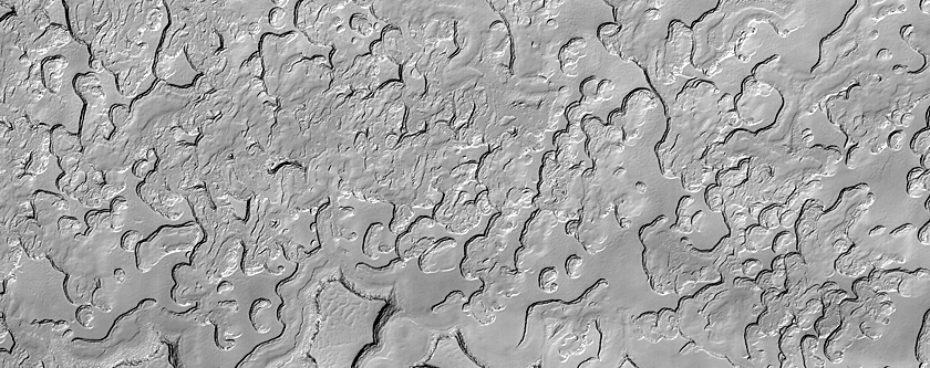South Polar Residual Cap Mosaic Campaign